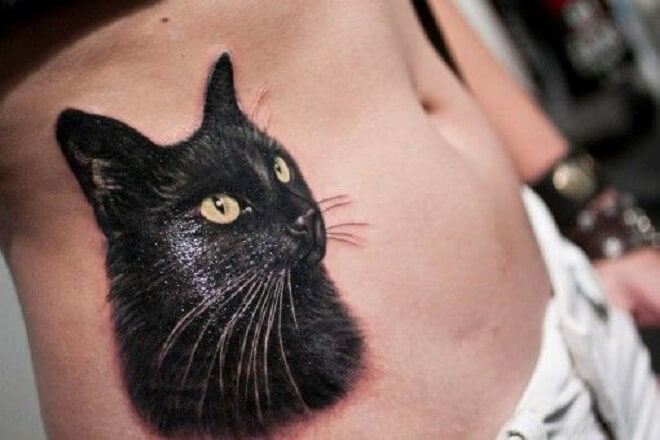 Black Cat Boobs Nude