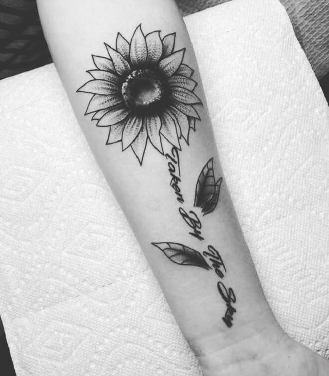 Black and White Sunflower