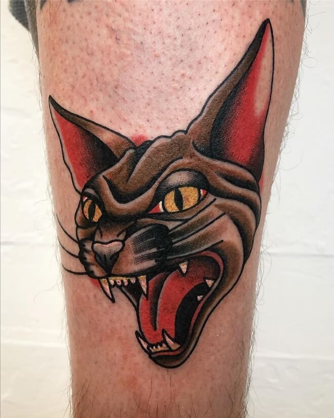 Angry American Traditional Cat Tattoo