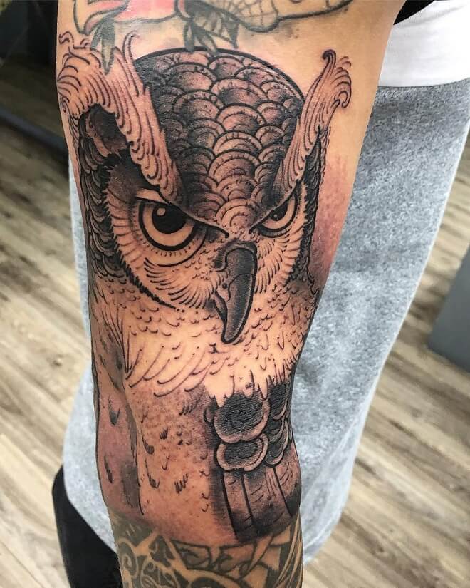Desenho Owl Tattoo