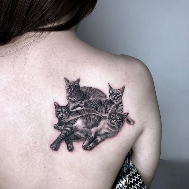 Illustration Cat Tattoo