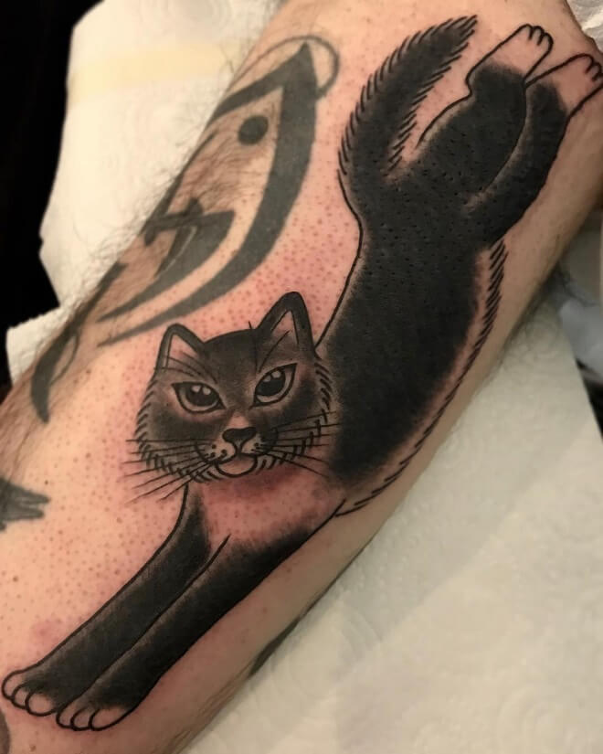 Popular American Traditional Cat Tattoo