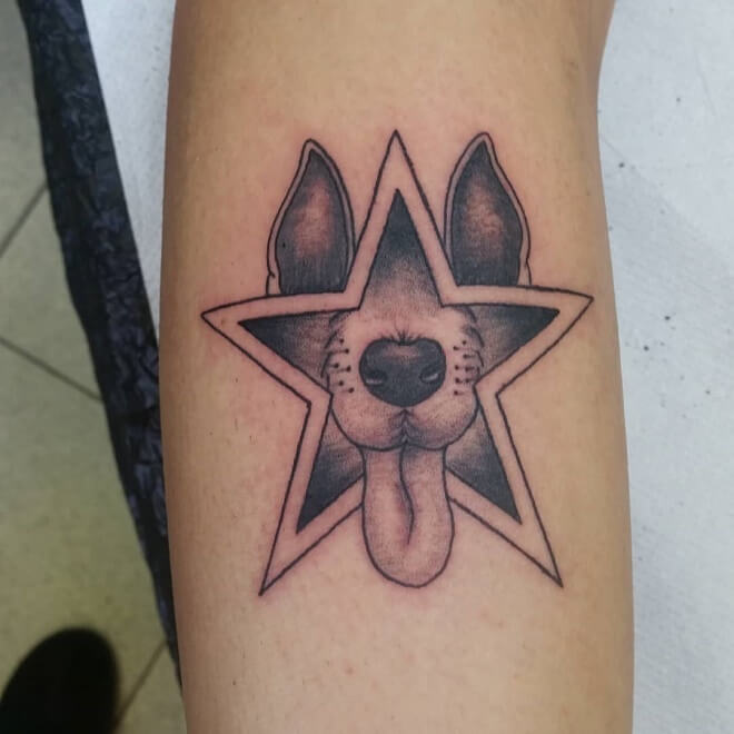 Star Dog Tattoos