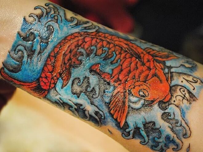 Color Koi Fish Tattoo