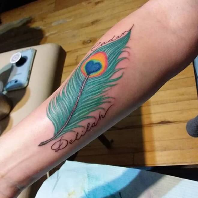 Color Peacock Feather Tattoo