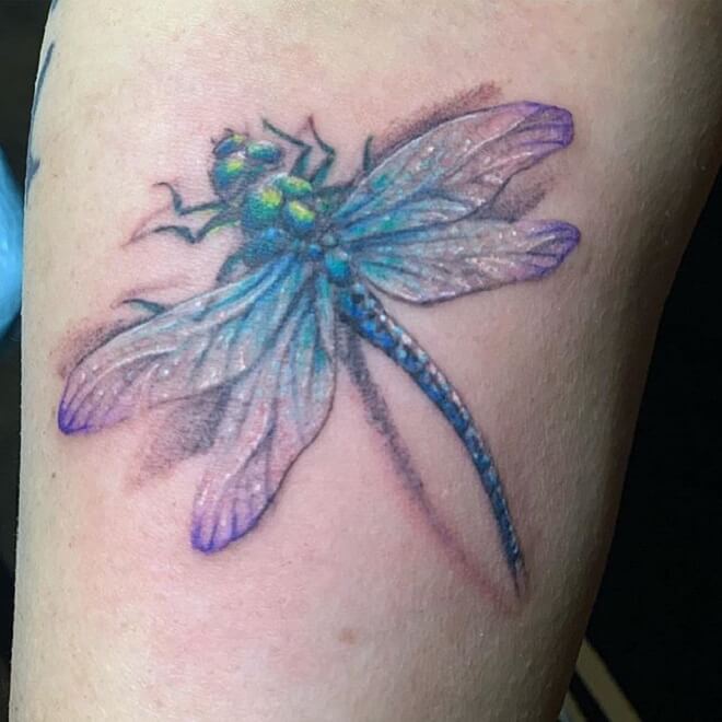 Nature Dragonfly Tattoo