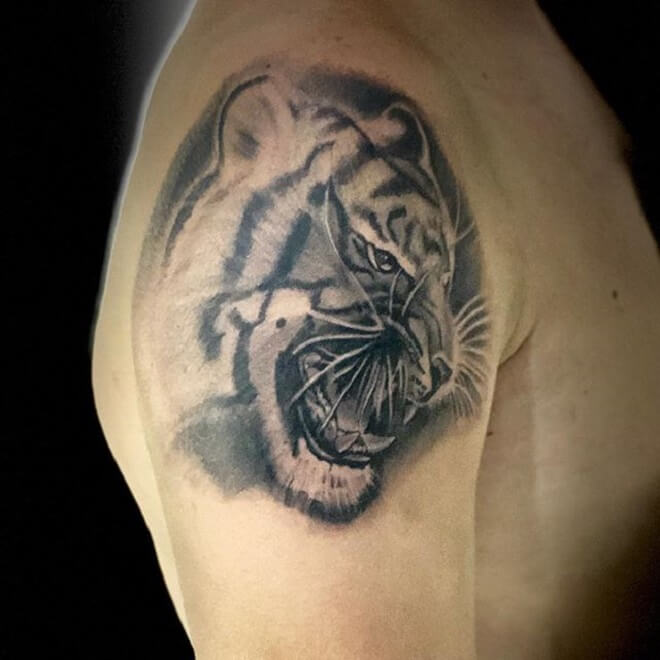 New Tiger Tattoo