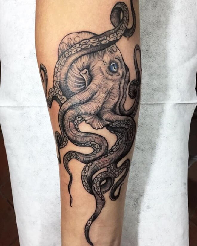 Octopus Tattoo Style