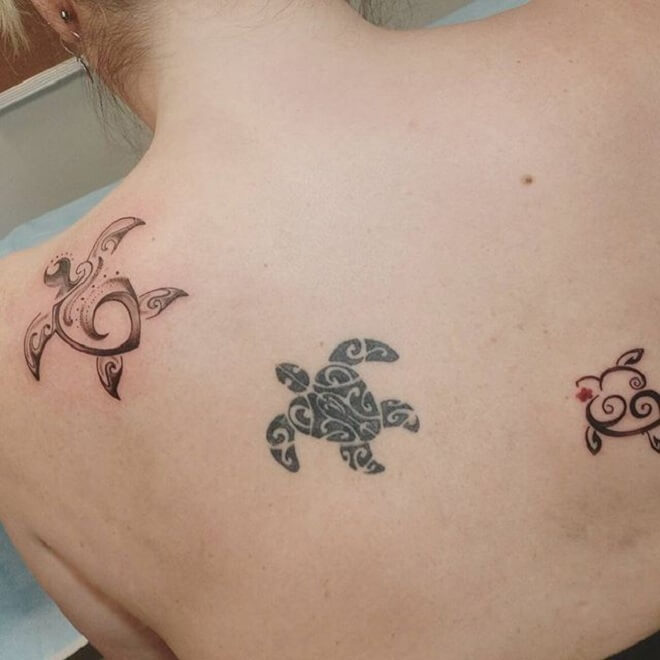 Perfect Turtle Tattoo Designs