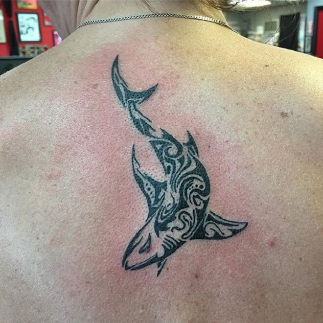 Polynesian Fish Designs Tattoo