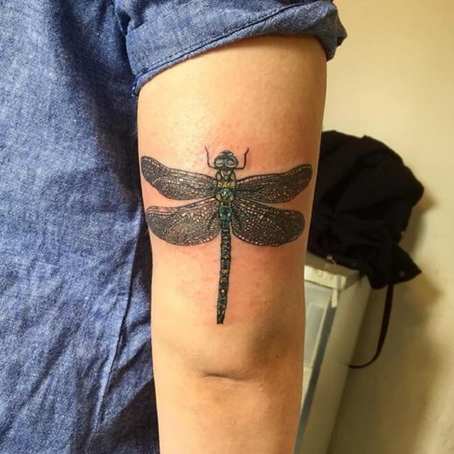 Stunning Dragonfly Tattoo