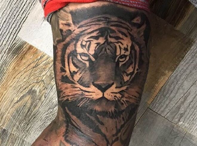 Tiger Tattoo Artist