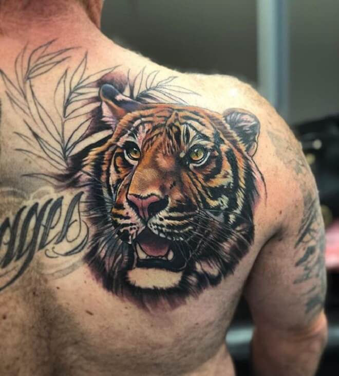 Tiger Tattoo for Men