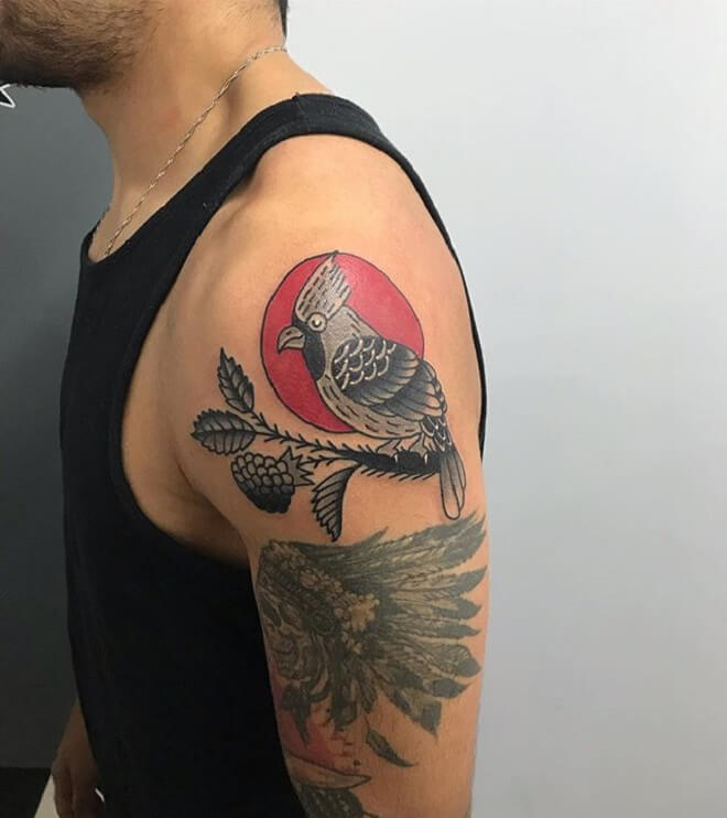 Cardinal Tattoo for Men