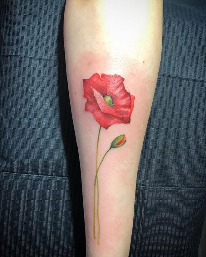 Poppy Tattoo Artist