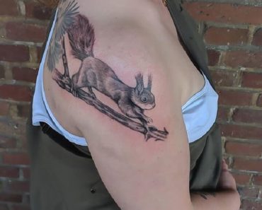 Top Squirrel Tattoo