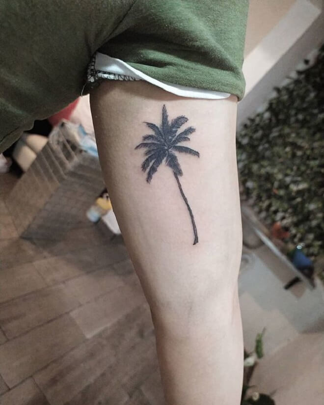 Best Palm Tree Tattoo