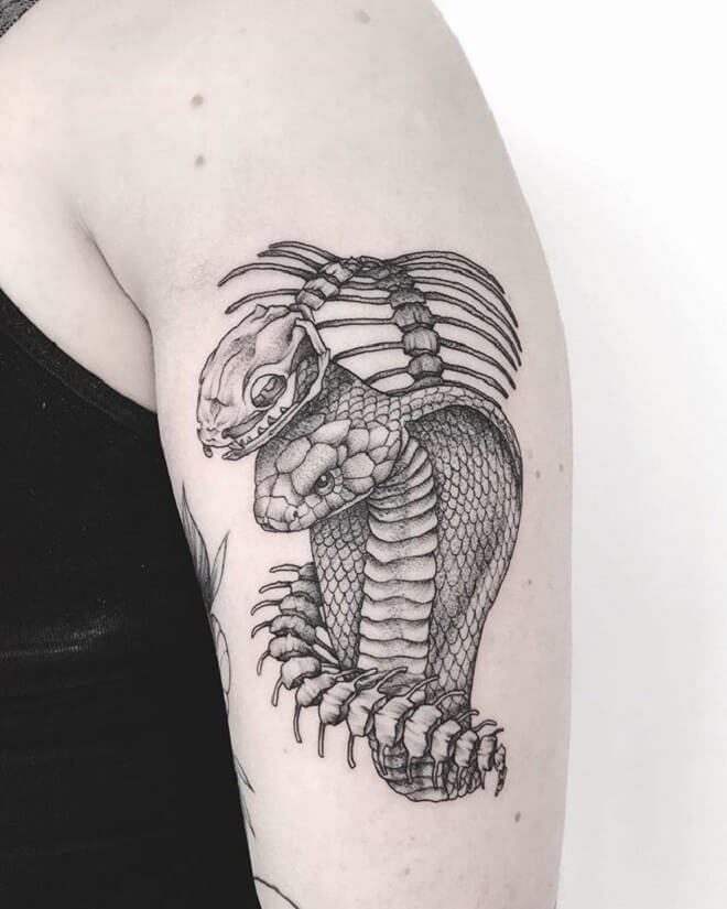 Best Snake Skeleton Tattoo