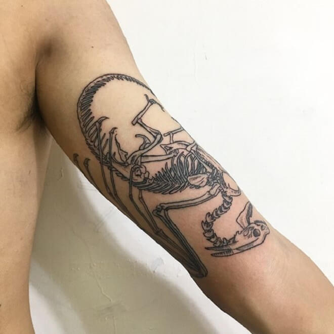 Body Dragon Skull Tattoo