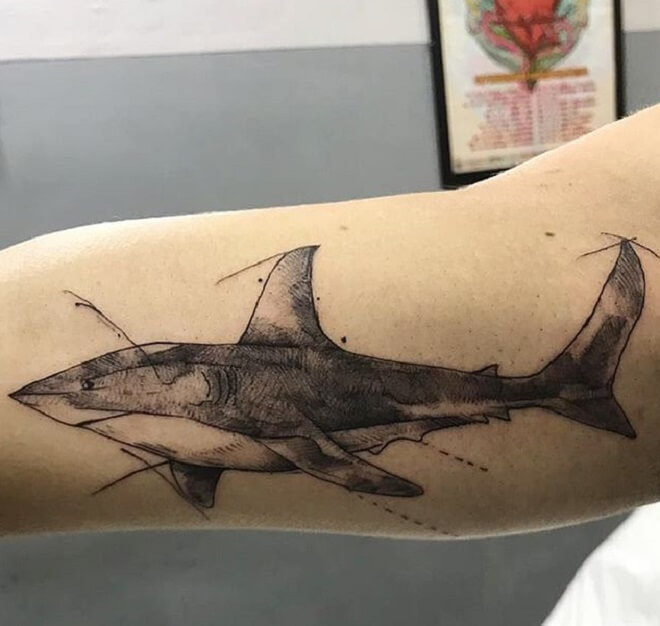 Body Shark Tattoo