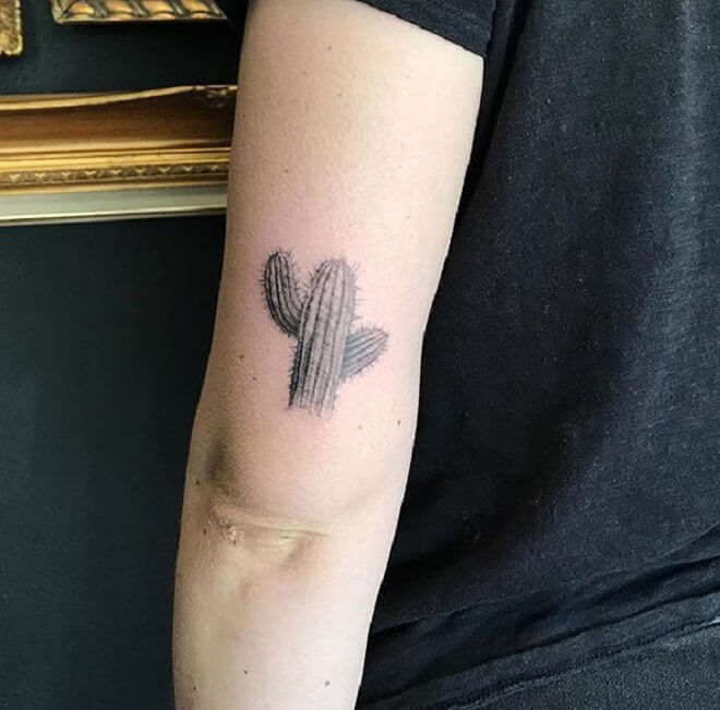 Cactus Tattoo Style