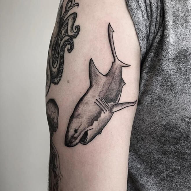 Fine line Shark Tattoo