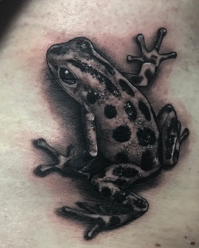 Frog Tattoo Art
