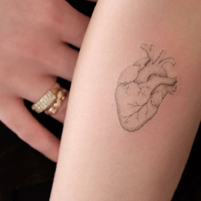 Girl Anatomical Heart Tattoo