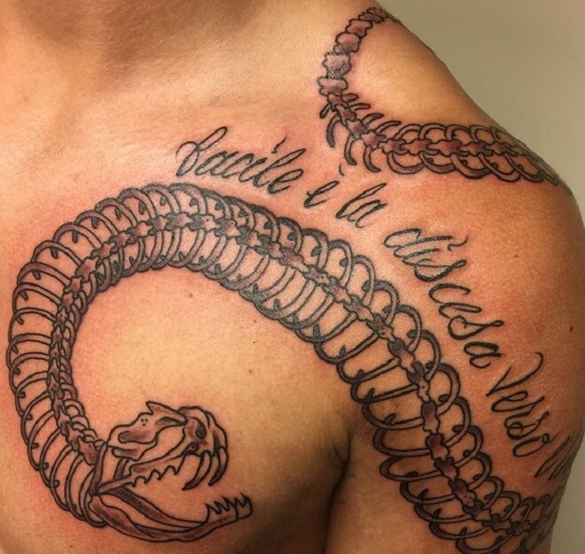 Quotes Snake Skeleton Tattoo