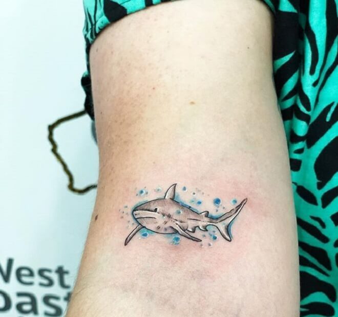 Small Shark Tattoo